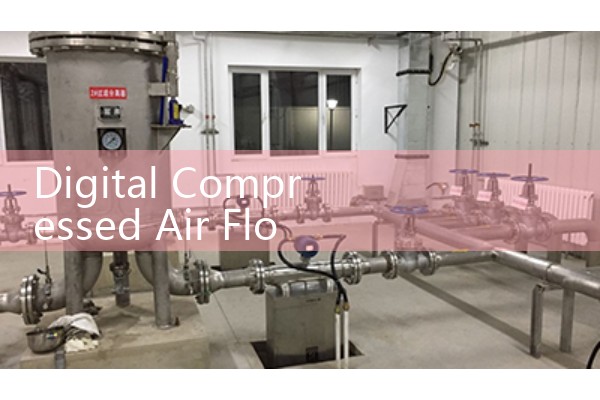 Digital Compressed Air Flow Meter: Factory CFM Energy Audit Monitoring Kits